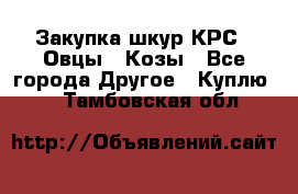 Закупка шкур КРС , Овцы , Козы - Все города Другое » Куплю   . Тамбовская обл.